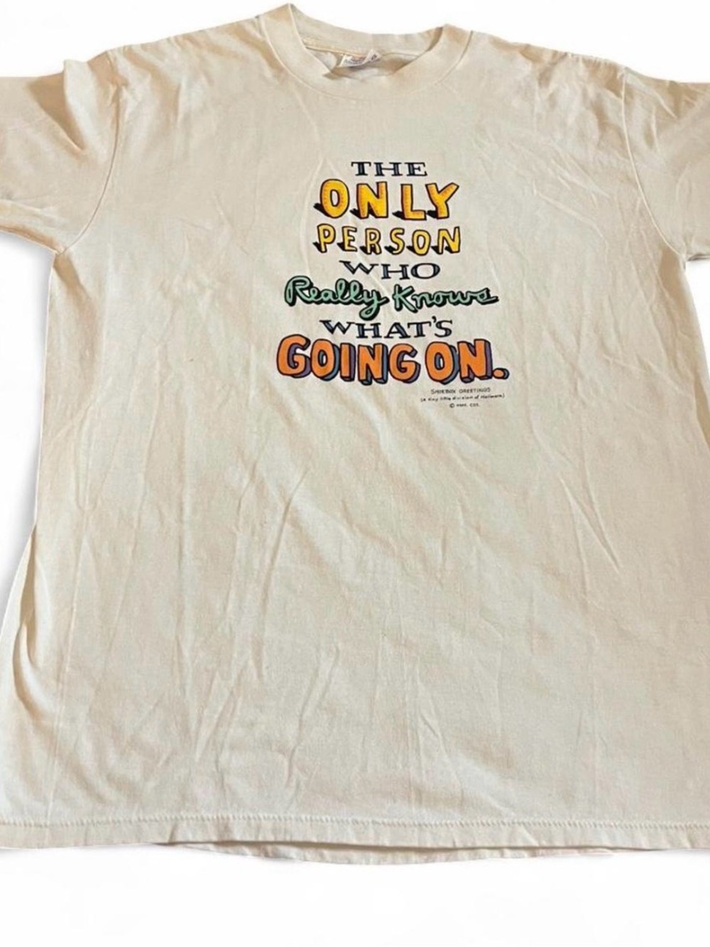 Vintage Shoebox Greetings Only Person Who Knows Whats Going On Size L